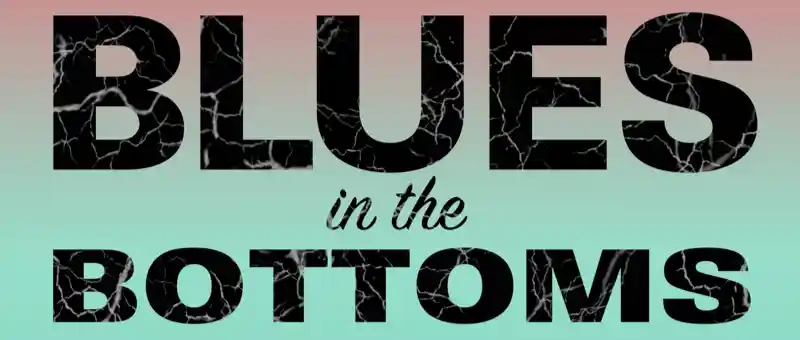 Blues In The Bottoms 2026 banner